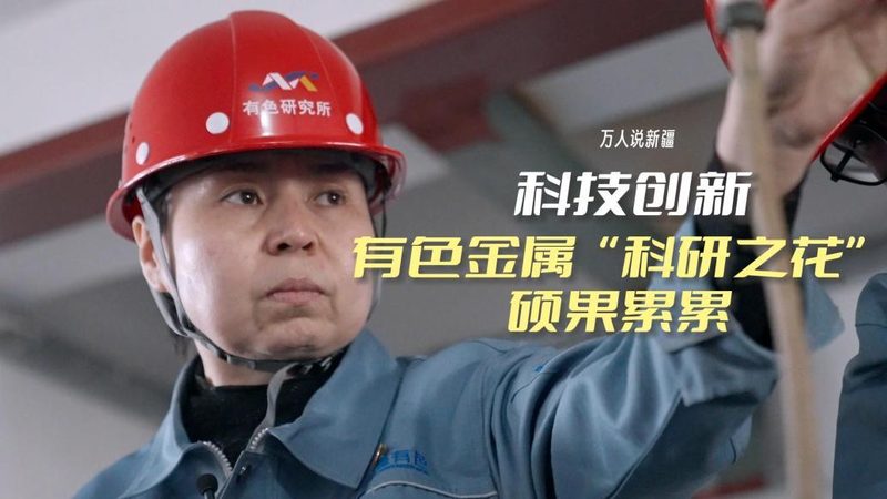 数据服务代理加盟：揭秘货源支持背后的关键要素
